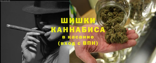прущие крисы Бородино