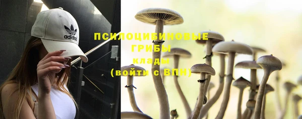 мяу мяу мука Бугульма