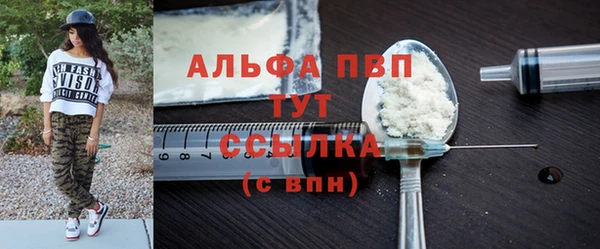 прущие крисы Бородино