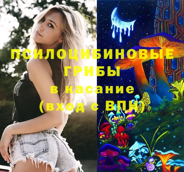 прущие крисы Бородино